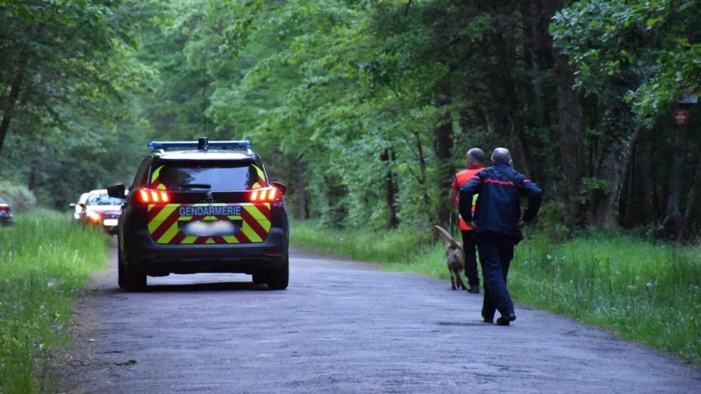 Course-poursuite incroyable à 130 km/h dans la forêt landaises pour traquer un fuyard Course-poursuite incroyable à 130 kmh dans la forêt landaises pour traquer un fuyard